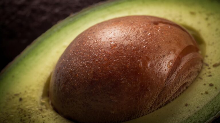 Plantar hueso de aguacate