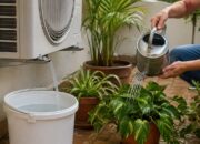 agua del aire acondicionado para regar plantas