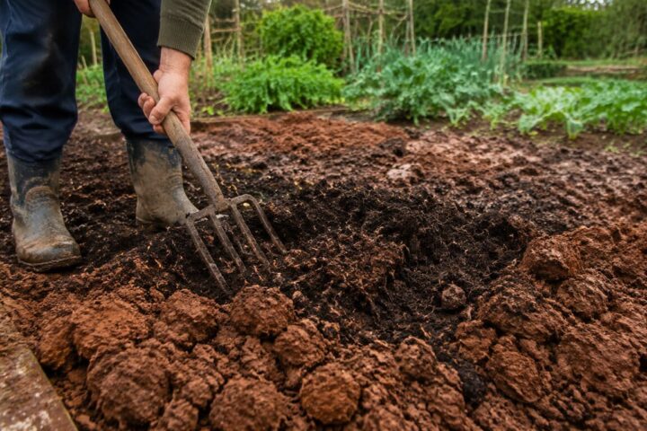 cómo mejorar tierra arcillosa para huerto