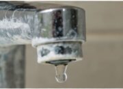 agua dura para regar plantas